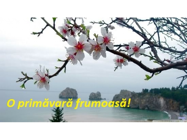 O PRIMAVARA FRUMOASA!